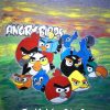Μπλούζα παιδική ,ζωγραφισμένη,Angry Birds